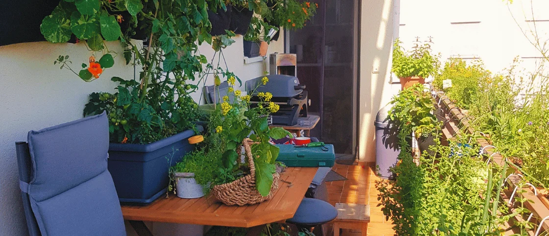 7 Tipps für einladenden Balkongarten