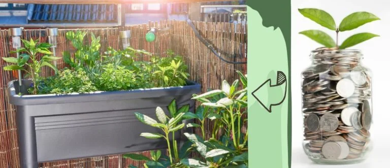 Gestalte deinen Balkongarten mit einem kleinen Budget