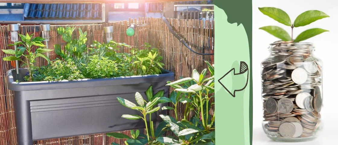 Gestalte deinen Balkongarten mit einem kleinen Budget