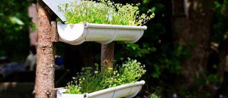 Vertikalen Balkongarten erfolgreich anbauen