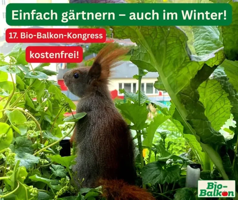 Eichhörnchen zwischen grünen Balkonpflanzen – Bio-Balkon-Kongress 2025, einfach gärtnern im Winter